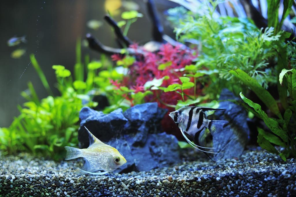Water Hotel Mw (Adults Only) Saitama Zewnętrze zdjęcie